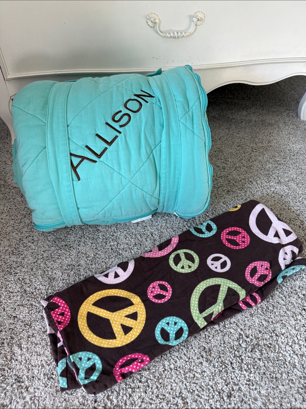 Pottery Barn Kids Sleeping Bag